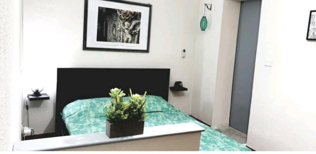 Kemonia Holiday home